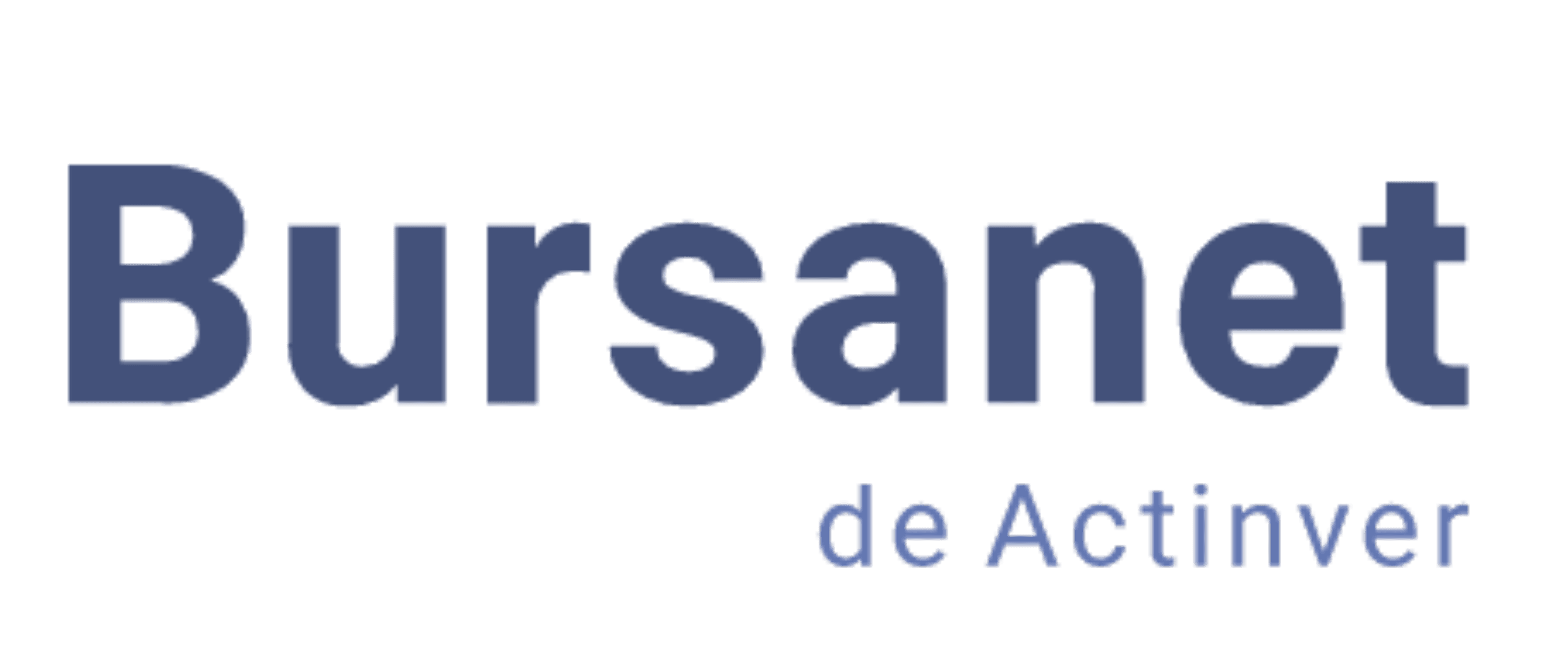 Bursanet logo