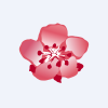 China Airlines, Ltd.