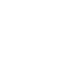 MAIN logo