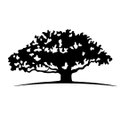 WisdomTree Floating Rate Treasury Fund