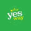 YSWY
